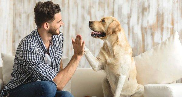 rimuovere i peli degli animali dai tessuti